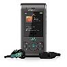 SonyEricsson W595 Jungle Grey